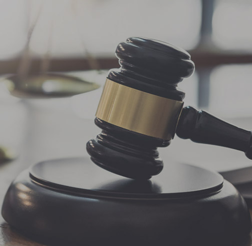 government industry at sapours.