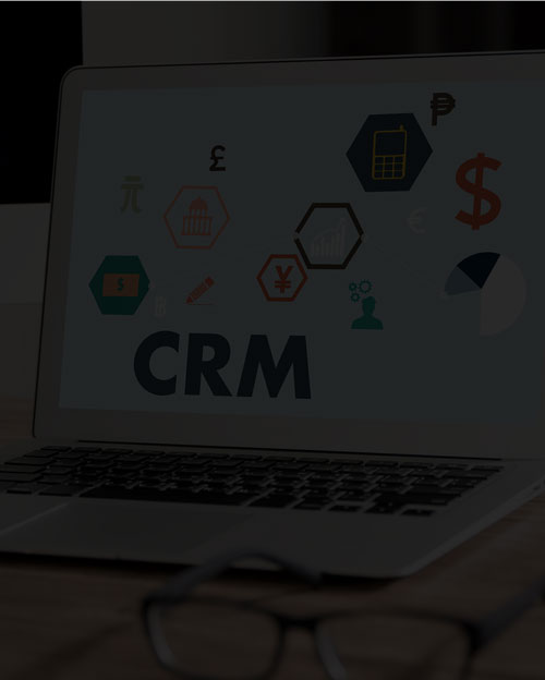 crm and erp at sapours.