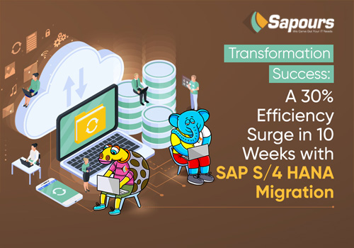 transformation-success-in-sap-s-four-hana-migration-at-sapours.jpg
