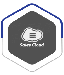 Sales Cloud