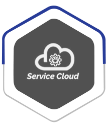 Service Cloud
