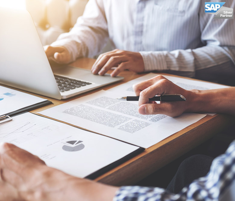 SAP Hybris consulting