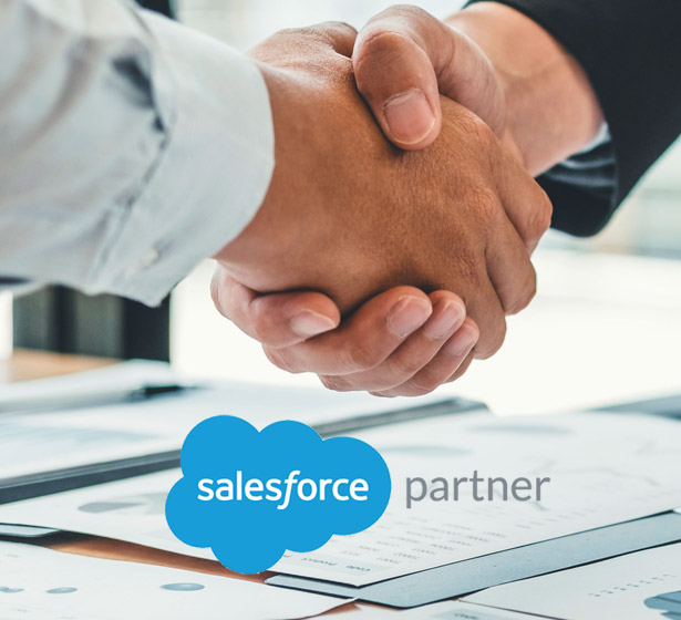 Salesforce Partner