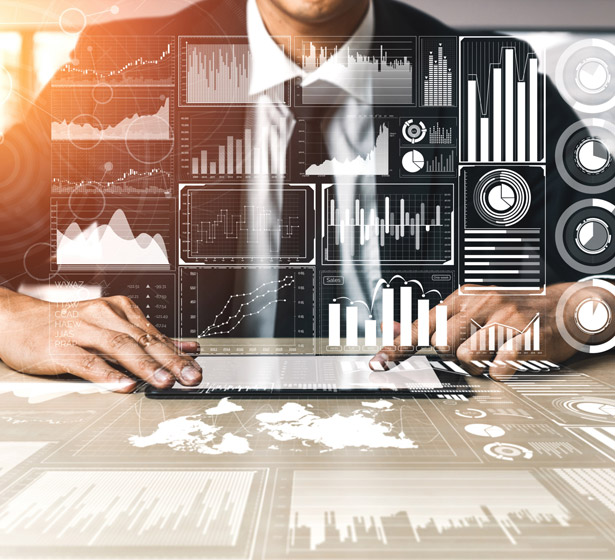 SAP public and government sector service providers